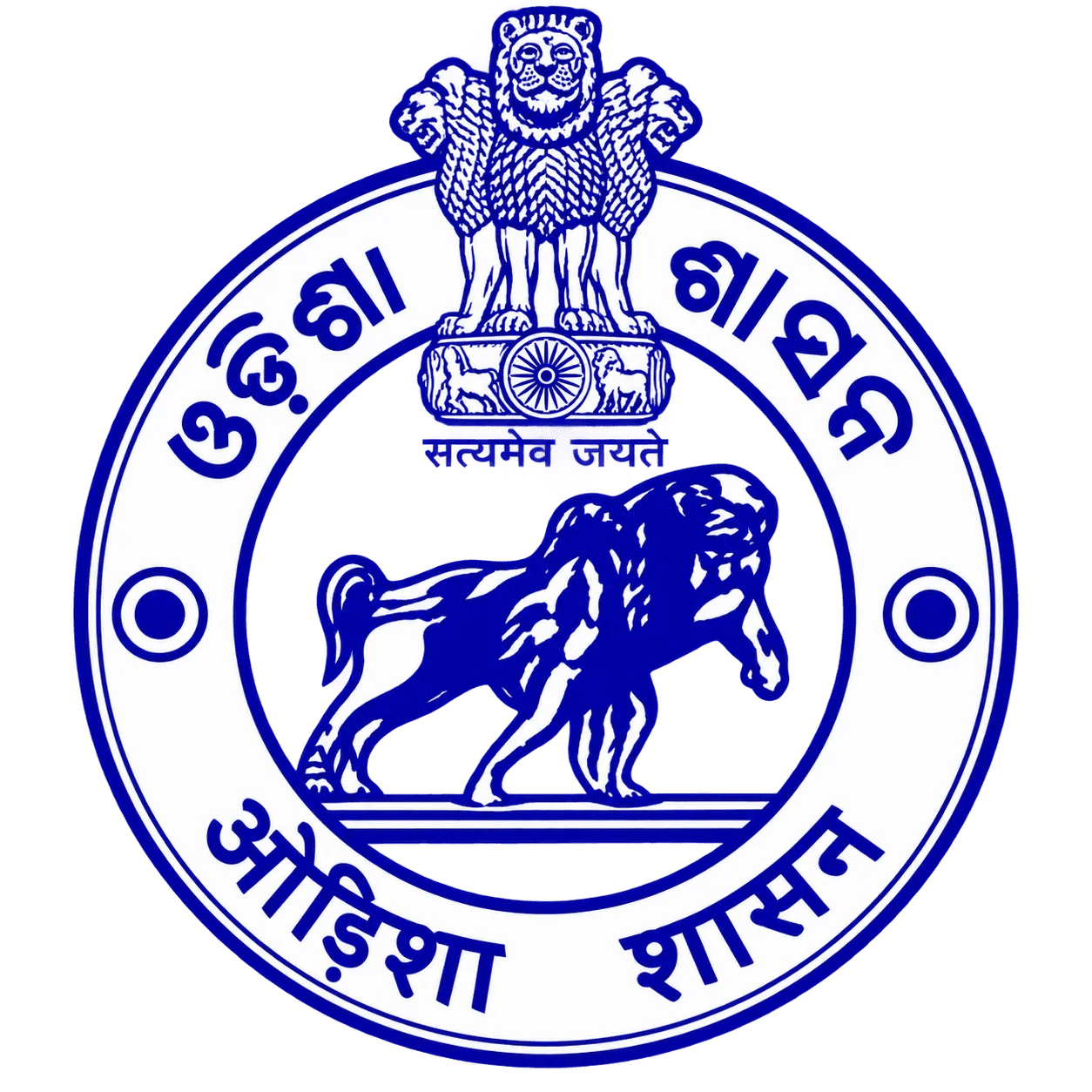 PMIS Logo